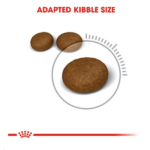 Royal Canin Hair & Skin Dry Cat Food - Image 7