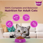 Whiskas Mackerel Adult Dry Cat Food - Image 6