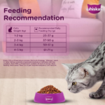 Whiskas Ocean Fish with Milk Adult Dry Cat Food - Image 6