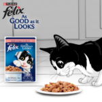 Purina Felix Salmon in Jelly Wet Cat Food, 85g - Image 6