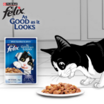 Felix Sardine with Jelly Adult Cat Wet Food, 85g - Image 6