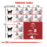 Royal Canin Nutrition Fit 32 Dry Cat Food - Image 6