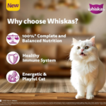 Whiskas Persian (1+ Years) Adult Cat Dry Food - Image 7