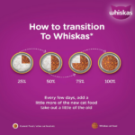Whiskas Ocean Fish with Milk Adult Dry Cat Food - Image 7