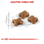 Royal Canin Second Age Kitten Dry Cat Food - Image 7