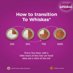 Whiskas Mackerel Adult Dry Cat Food - Image 7
