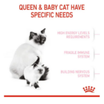 Royal Canin Mother & Baby Cat Dry Cat Food - Image 8