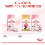 Royal Canin Mother & Baby Cat Dry Cat Food - Image 9