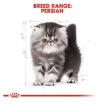 Royal Canin Persian Kitten Dry Cat Food - Image 9