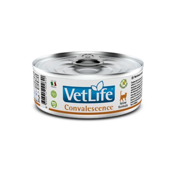 Farmina Vet life Convalesence Wet Cat Food - 85 g