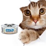 Farmina Vet life Convalesence Wet Cat Food - 85 g - Image 2