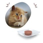 Farmina Vet life Convalesence Wet Cat Food - 85 g - Image 3