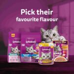 Whiskas Ocean Fish Flavour Adult Cat Dry Food, 480 g - Image 4