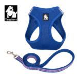 Truelove Mesh Harness & Leash Set for Cats & Dogs - Blue