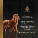 Hydra Moisturizing Shampoo, 300 ml - Image 4