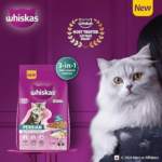 Whiskas (2 to 12 months) Persian Kitten Dry Cat Food - Image 3