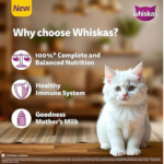 Whiskas (2 to 12 months) Persian Kitten Dry Cat Food - Image 6