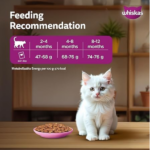 Whiskas (2 to 12 months) Persian Kitten Dry Cat Food - Image 7