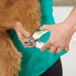 Andis Large Pet Nail Clipper - Lime Green - Image 4