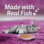 Whiskas Tasty Mix Junior Pouch Chicken Tuna Sweet Potato Flavor in Gravy for Cats 70g - Image 4
