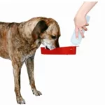 Trixie Travel Bottle with Bowl for Dogs and Cats (Red) - Image 4