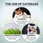 Trixie Soft Grass Tray Bowl/Approx for Cats, 100 g - Image 5