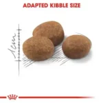 Royal Canin Sterilised 7+ Dry Cat Food, 1.5 kg - Image 5