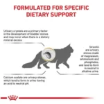Royal Canin Urinary S/O Adult Cat Dry Food, 1.5 kg - Image 3