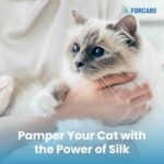 Forcans Cat Short Coat Shampoo and Conditioner - Image 6