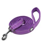 Barkbutler Truelove Classic Leash, Purple - Image 2