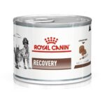Royal Canin Recovery Canned Adult Pet Wet Food, 195 g