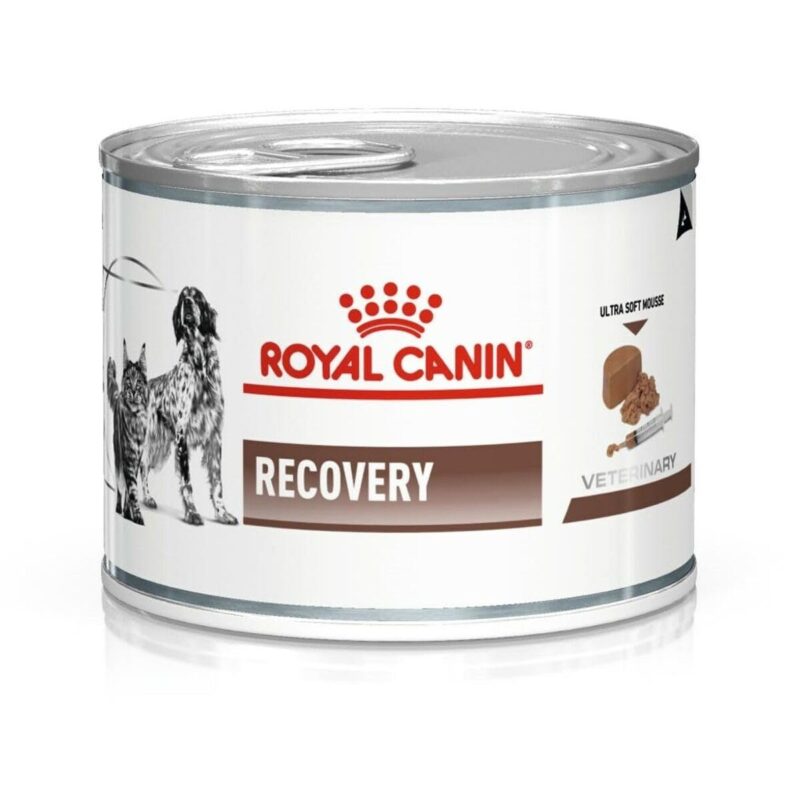 Royal Canin Recovery Canned Adult Pet Wet Food, 195 g