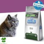 Farmina Vet Life Obesity Dry Cat Food - 2 Kg - Image 2
