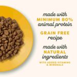 Applaws Complete Natural and Grain Free Dry Cat Food Kitten Chicken, 400g - Image 3