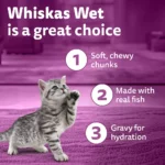 Whiskas Kitten Tuna for Cats 560g - Image 9