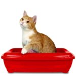 Simple Solution Cat Litter Odour Eliminator, 500 ml - Image 5
