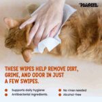 Pawpaya Antibacterial wipes for Dogs and Cats, 60 Wipes - Image 2