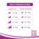 Whiskas Junior Ocean Fish Milky Dry Food for Cats, 50g - Image 3