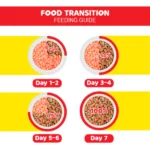 Me O Salmon Adult Dry Cat Food - Image 4