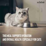 Schesir Chicken & Rice With Duck In Solution Adult Cat Wet Food, 50g - Image 8