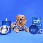 Magna Feast Pet Feeding Bowl - Image 4