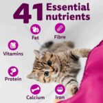 Whiskas Mackerel Junior Cat Dry Food, 450 g - Image 5