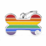 Rainbow Large Bone Name Tag