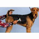 Andis Compact De-shedding Pet Tool - Image 5