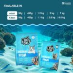 Top tail Kitten Ocean Fish Dry Food for Cats - Image 6