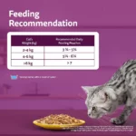 Whiskas Adult Chicken In Gravy Cat Wet Food 85 g - Image 12