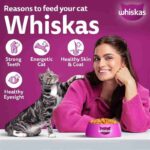 Whiskas Ocean Fish Flavour Adult Cat Dry Food, 480 g - Image 10