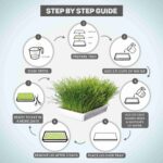 Trixie Soft Grass Tray Bowl/Approx for Cats, 100 g - Image 2