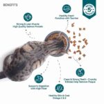 Top tail Adult Aalmon & Chicken Dry Food for Cats 3kg - Image 4