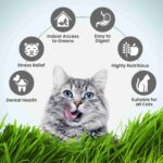 Trixie Soft Grass Tray Bowl/Approx for Cats, 100 g - Image 6